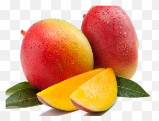 Grafted Mango Seedlings - Farmerstrend Png,Mango Png