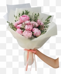 Peonies Png