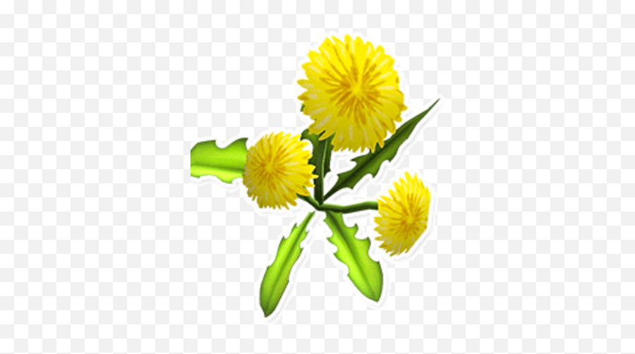 Dandelion - Red Dandelion Png,Dandelions Png