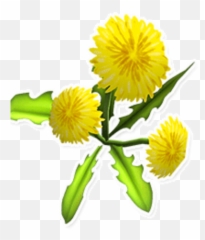 Dandelion - Red png