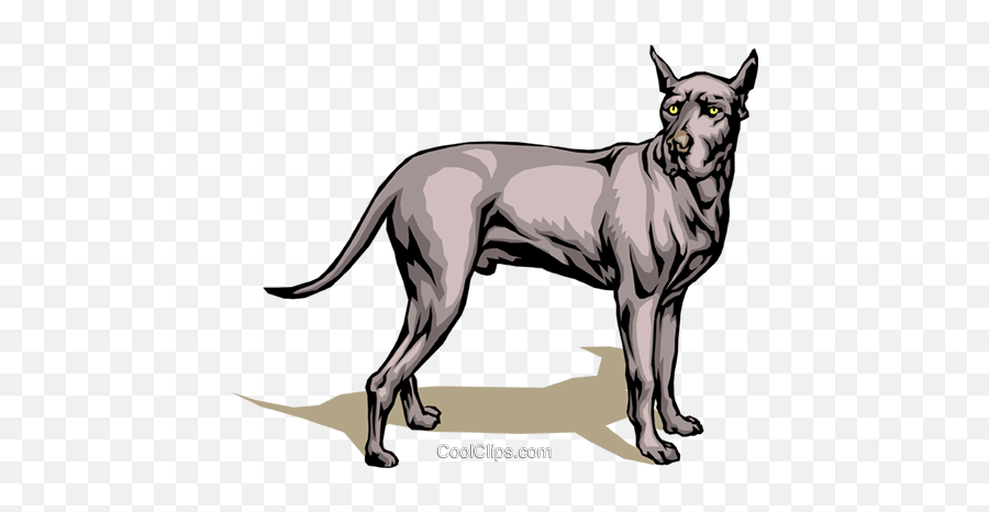 Download Great Dane Royalty Free Vector - Transparent Great Dane Clipart Png,Great Dane Png