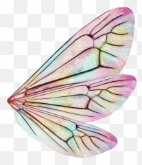 Free Transparent Wings Png Images Page 5 Pngaaa Com - download misfortune s guardian s wings roblox all wings png image with no background pngkey com