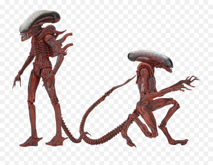 Alien Xenomorph Png - Neca Xenomorph Genocide Figure Big Chap And Dog Alien,Xenomorph Png