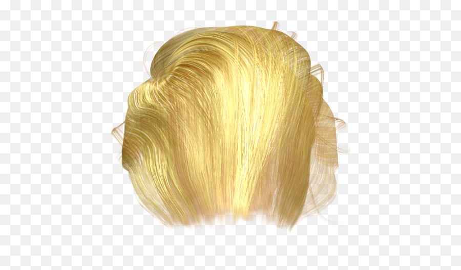 Get Something Trumped With Accurate - Blond Png,Trump Hair Png