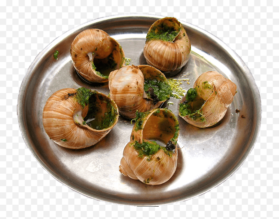 Escargots In Garlic Butter Transparent Png - Stickpng Escargots Png,Garlic Transparent Background