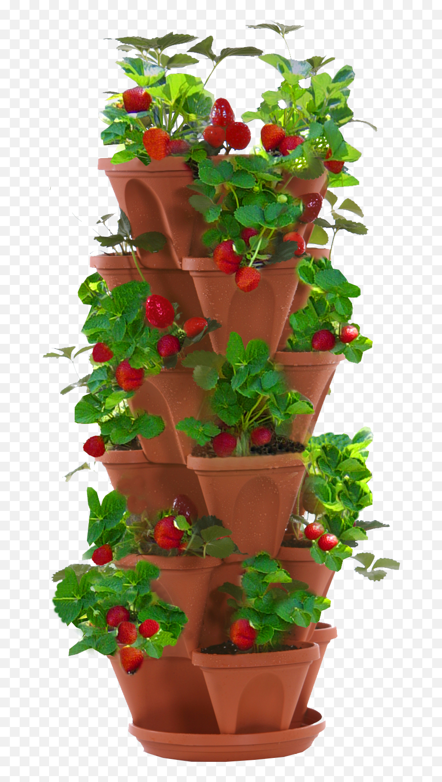 Download Strawberry Planter - Stacked Strawberry Planter Strawberry Planter Transparent Background Png,Planter Png