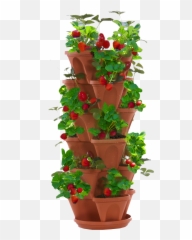 Download Strawberry Planter - Stacked Strawberry Planter Strawberry Planter Transparent Background Png,Planter Png