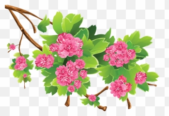 Floral Clipart Transparent Background - Png