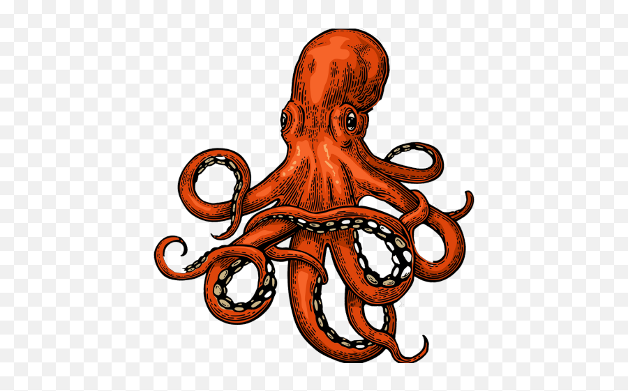 Drawn Squid Adorable - Octopus Vector Clipart Full Size Octopus Squid Drawing Png,Squid Png