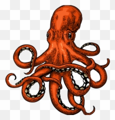 Drawn Squid Adorable - Octopus Vector Clipart Full Size Octopus Squid Drawing Png,Squid Png