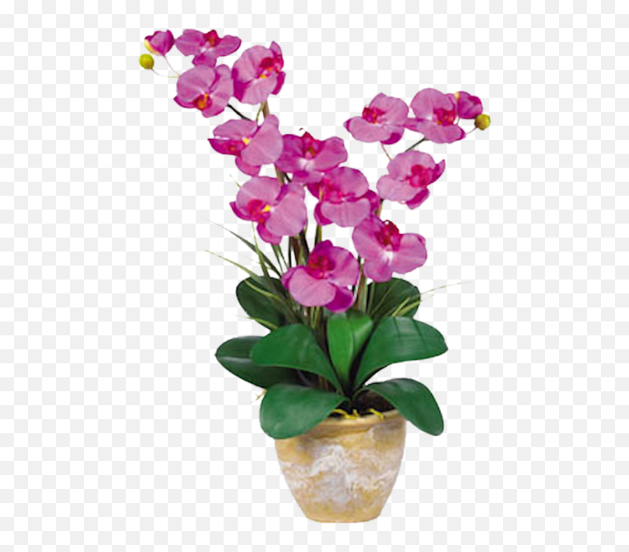 Orchid Double Stem Phalaenopsis Silk Arrangement - Orchid Flower Png,Orchid Png