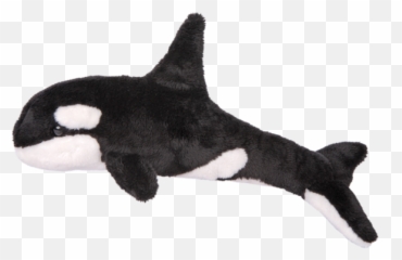 Douglas Spout Orca Whale - Killer png