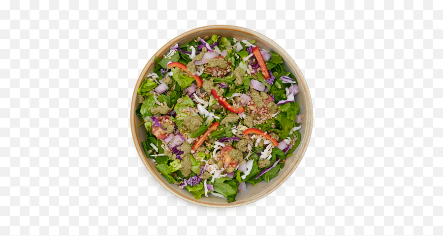 Green Tea Leaf Salad - Garden Salad Png,Tea Leaf Png