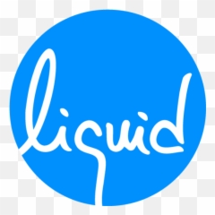 Liquid Designs - Best in class Branding Agency India Dot png