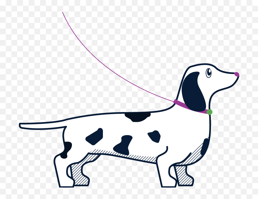 Dog Sitter Sitting Walking - Transparent Dog Walking Clipart Png,Dog Sitting Png