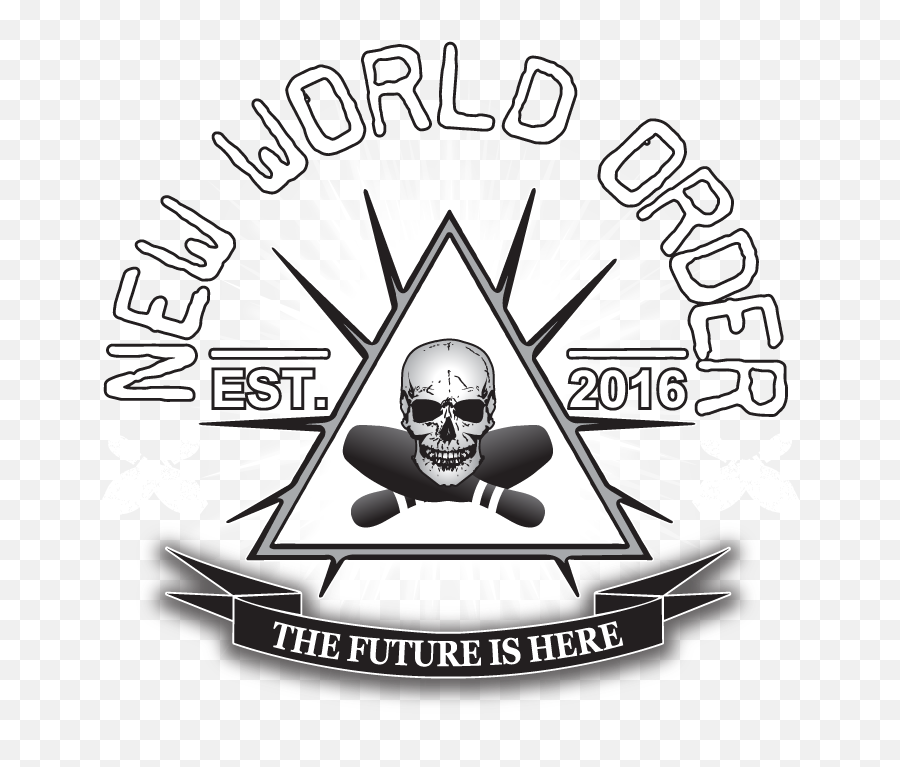 New World Order - New World Order Png,Nwo Logo Png