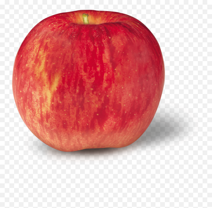 Varieties Archive - New York Apple Association Smitten Apple Png,Apple Slice Png