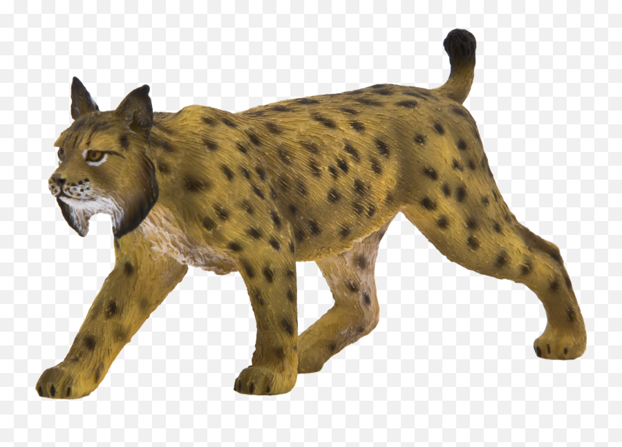 Download Animal Planet Iberian Lynx Png Image With No - Iberian Lynx Png,Animal Planet Logo Png