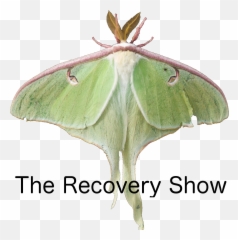 What Is Al - Anon u2013 Episode 10 The Recovery Show png