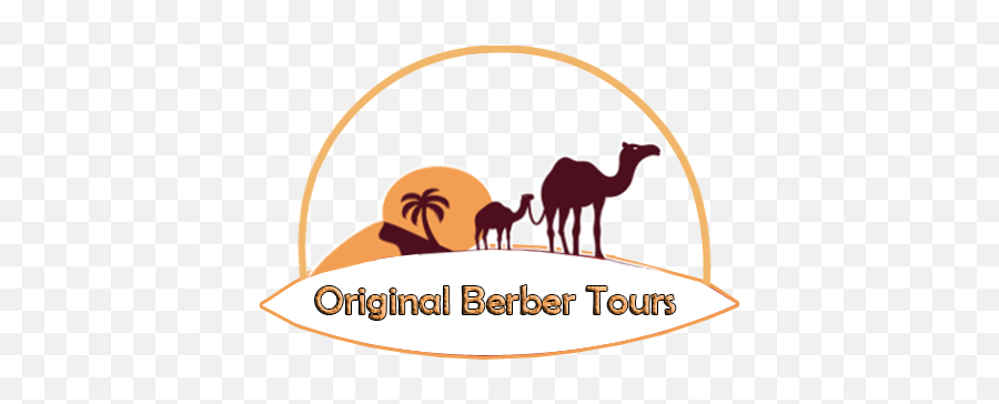 3 Nights Camel Trekking In Erg Chebbi Dunes Merzouga - Arabian Camel Png,Camel Logo