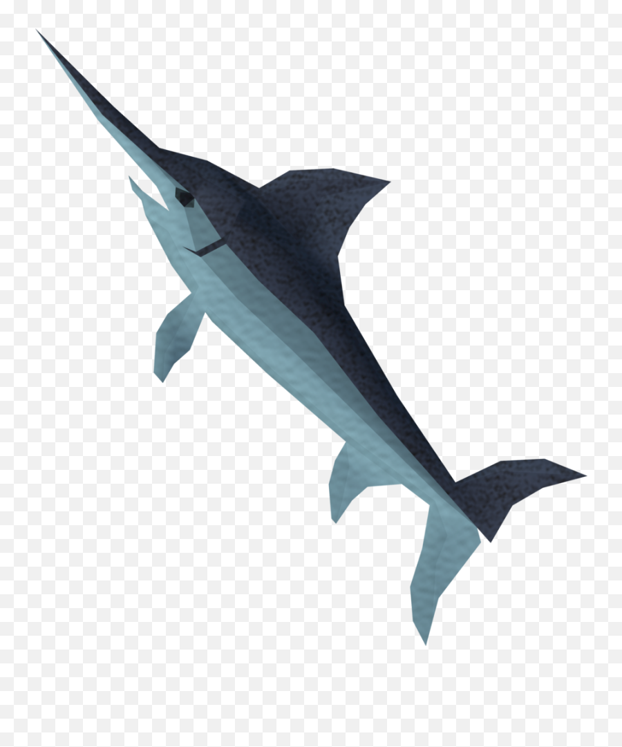Swordfish Detail - Atlantic Blue Marlin Full Size Png Atlantic Blue Marlin,Marlin Png