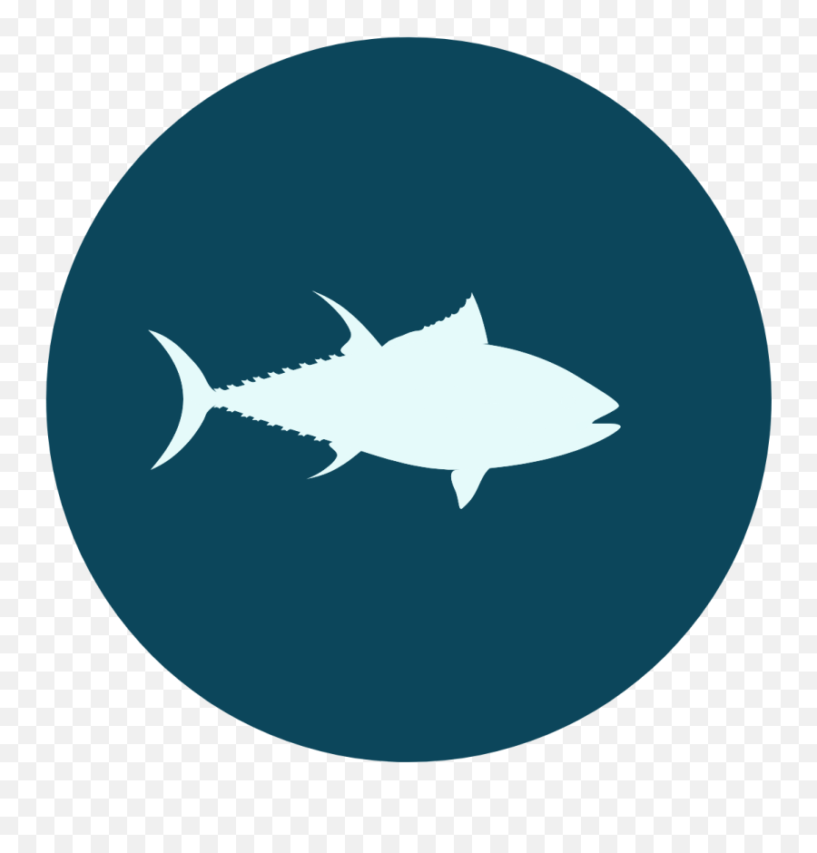 Ipnlf Stp Sourcing Transparency Platform - Easy Ocean Food Chain Png,Tuna Icon