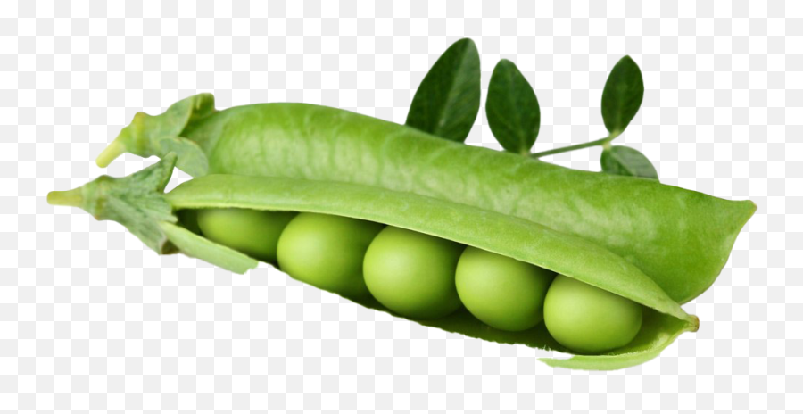 Pea Background Png Image - Pea,Peas Png