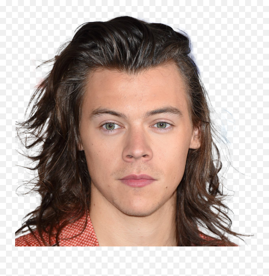 Harry Styles Png Images All - Harry Styles Brown Long Hair,Harry Icon