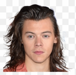Harry Styles Png Images All - Brown Long Hair