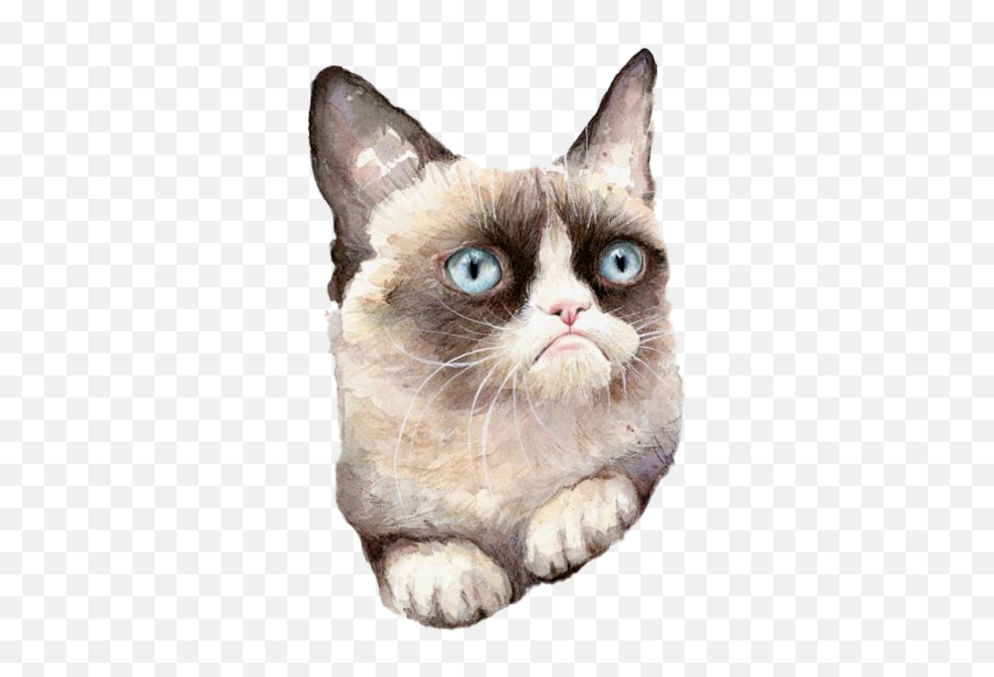 Grumpy Cat Png Clipart - Grumpy Cat Card,Whiskers Png
