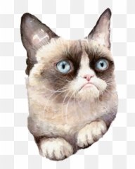 Grumpy Cat Png Clipart - Card