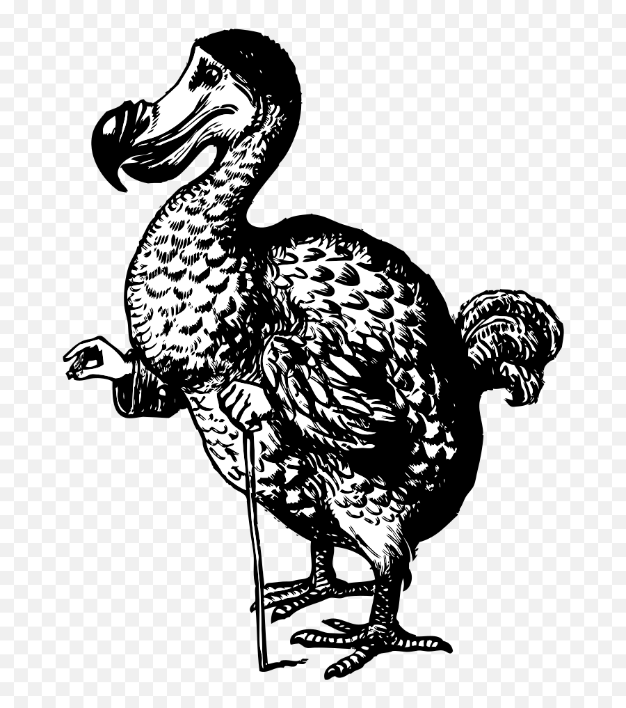 Onlinelabels Clip Art - The Dodo From Alice In Wonderland Alice In Wonderland Lewis Carroll Png,Alice In Wonderland Png