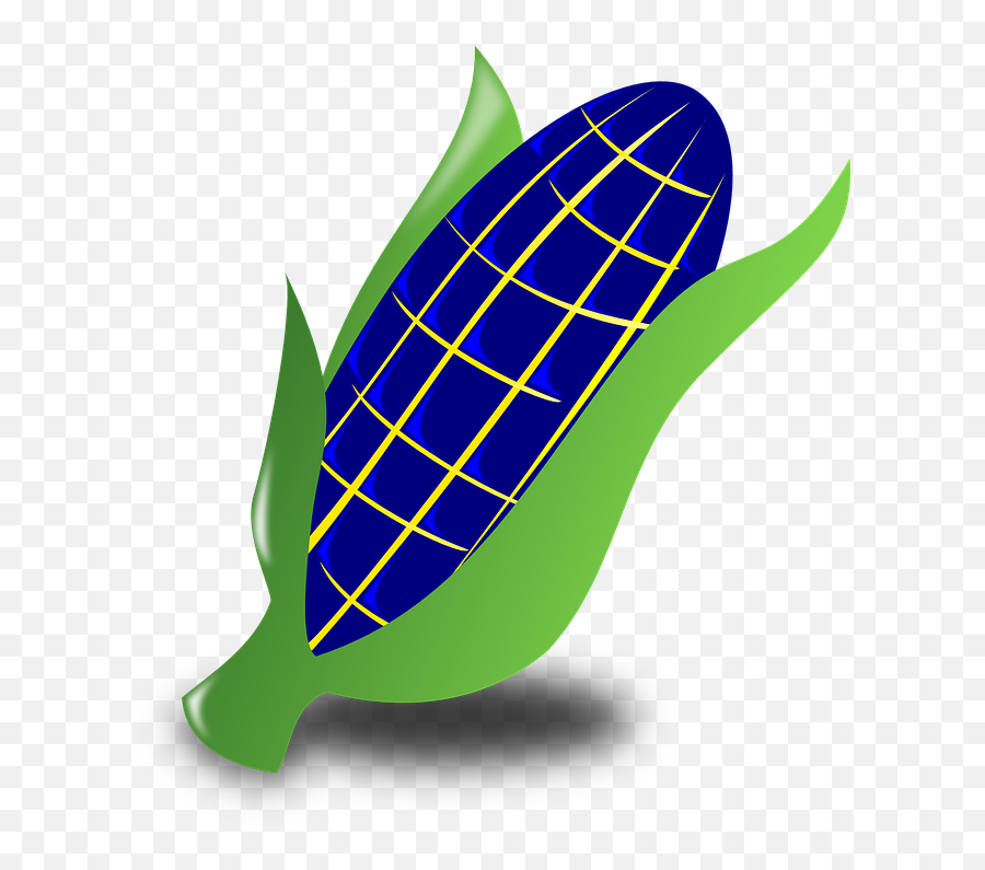 Corn Maize Blue - Free Vector Graphic On Pixabay Logo Jagung Hitam Putih Png,Corn Png