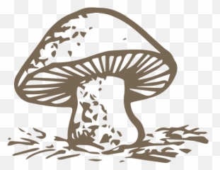 Free Online Mushrooms Fungi Food Cartoon Vector For - Fungi Cartoon Png,Fungi Png