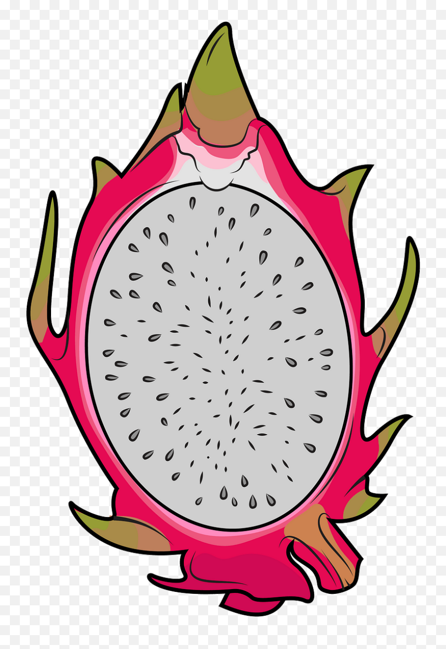 Half Dragon Fruit Clipart Free Download Creazilla - Dragon Fruit Slices Transparent Png,Dragonfruit Png