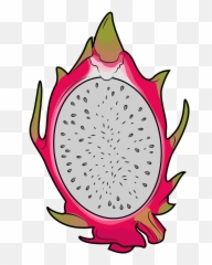Half Dragon Fruit Clipart Free Download Creazilla - Dragon Fruit Slices Transparent Png,Dragonfruit Png