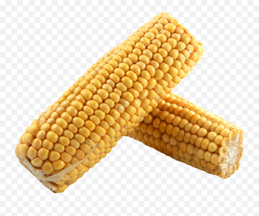 Corn Image By Kushalagarwal - Dent Corn Png,Corn Cob Png