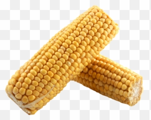 Corn Image By Kushalagarwal - Dent Corn Png,Corn Cob Png