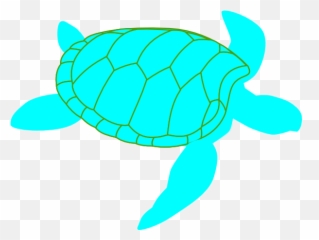 Sea Turtle Clip Art - Turtle Clip Art Png,Turtle Clipart Png