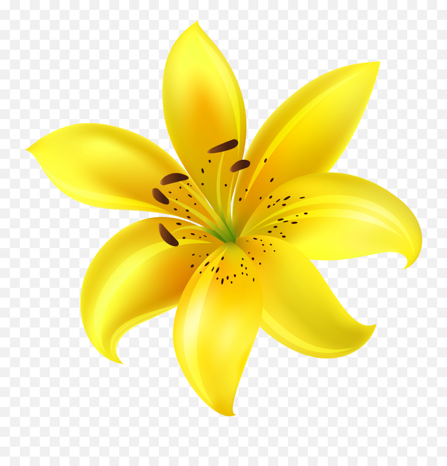 Picture Transparent Flower Png Files Yellow