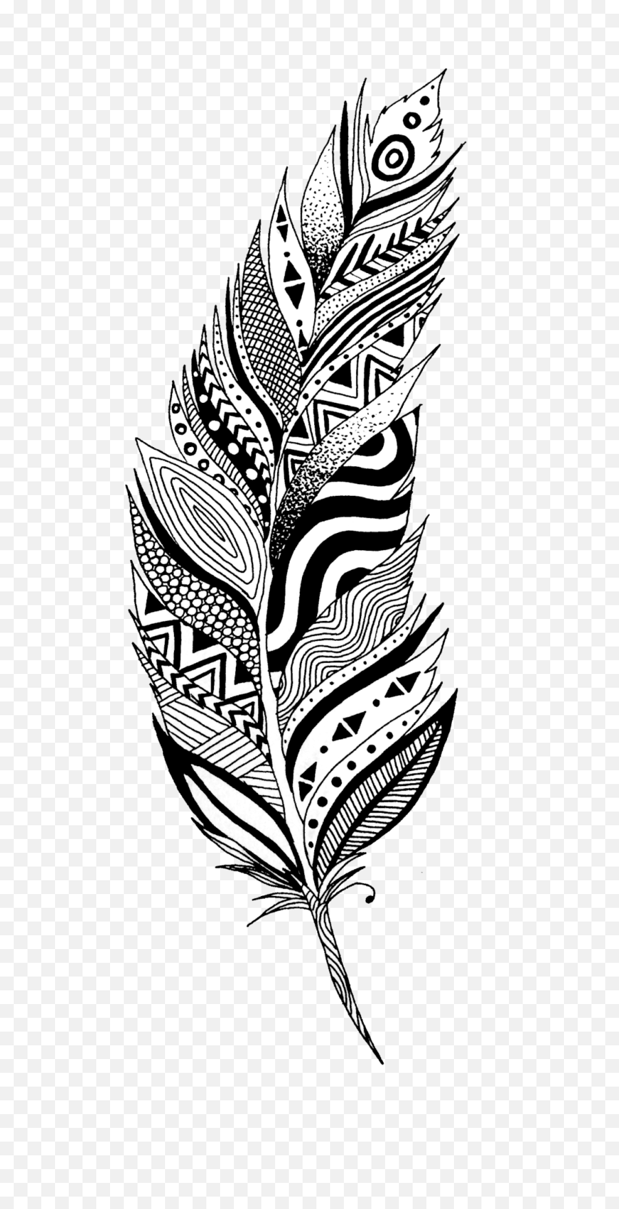 Black And White Feather - Black And White Feather Png,Black Feather Png