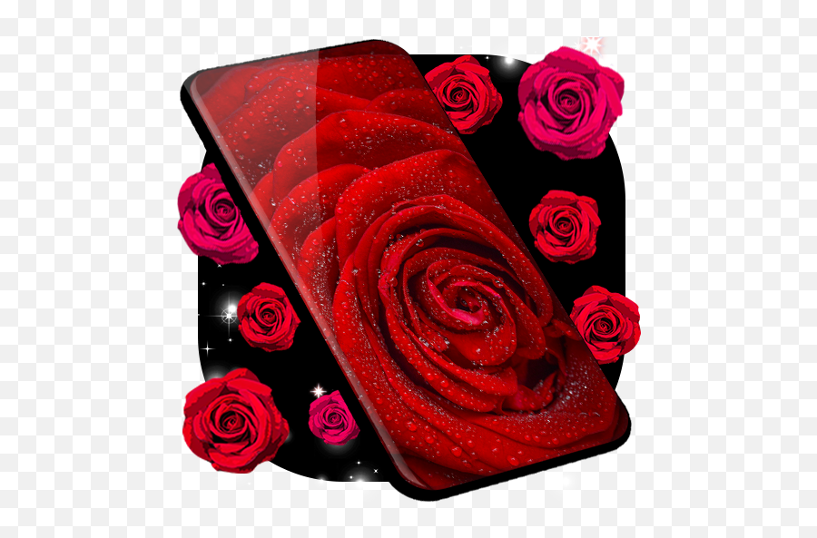 Red Rose Live Wallpaper Hq Background Changer For Android - Red Rose Live Png,Red Rose Transparent Background