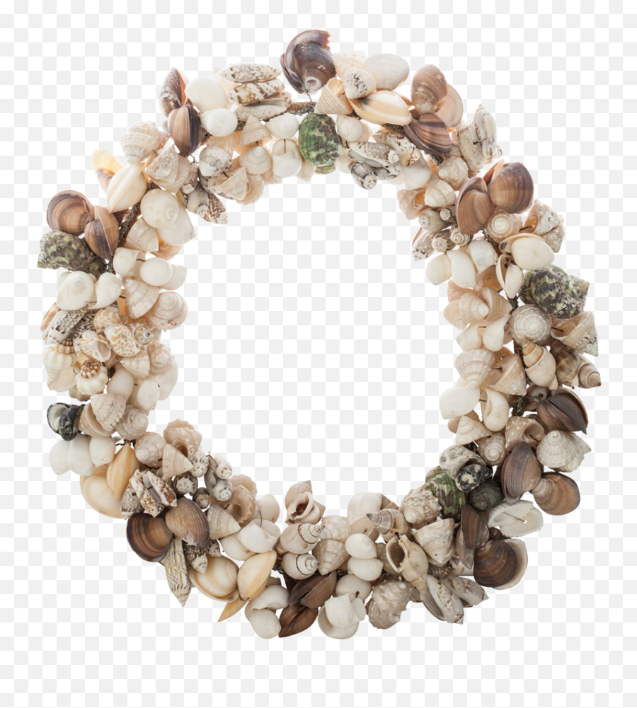 Download Seashell Company 11 Shell Wreath - Small Seashells Corona De Conchas Png,Seashells Png