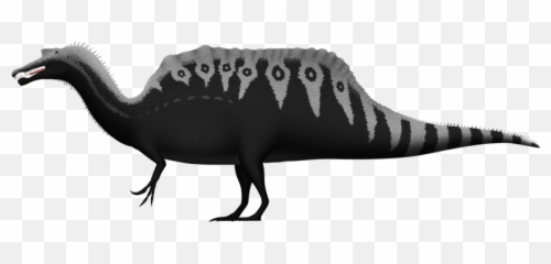Download Spinosaurus Aegyptiacus By Spinoinwonderland - Spinosaurus Transparent Png,Spinosaurus Png