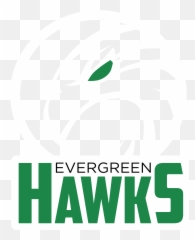 Evc - Language png
