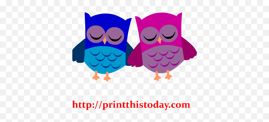 Cute Owl Couple Clip Art - Cute Owl Couple Clipart Full Soft Png,Ovo Owl Png