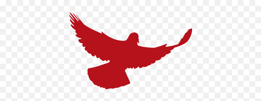 Cropped - Dove03png Horizon Transport Automotive Decal,Flying Dove Png