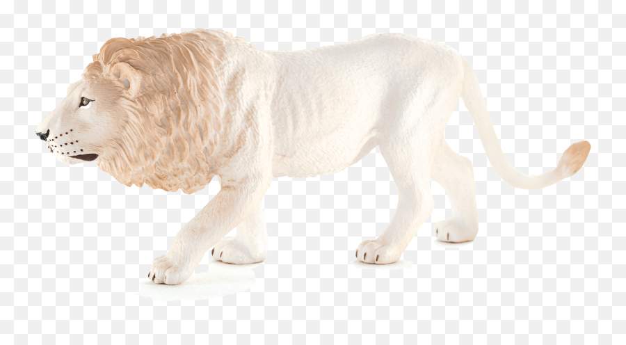 Animal Planet White Male Lion Full Size Png Download Logo