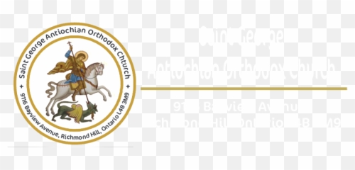 St - Staar png