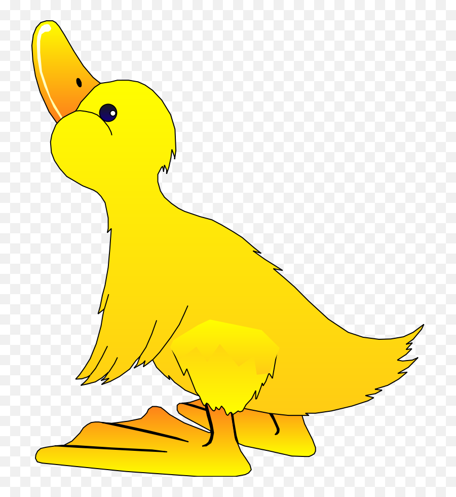 Duck Clip Art 3 - Clipartbarn Ducks Clipart Transparent Png,Duck Clipart Png